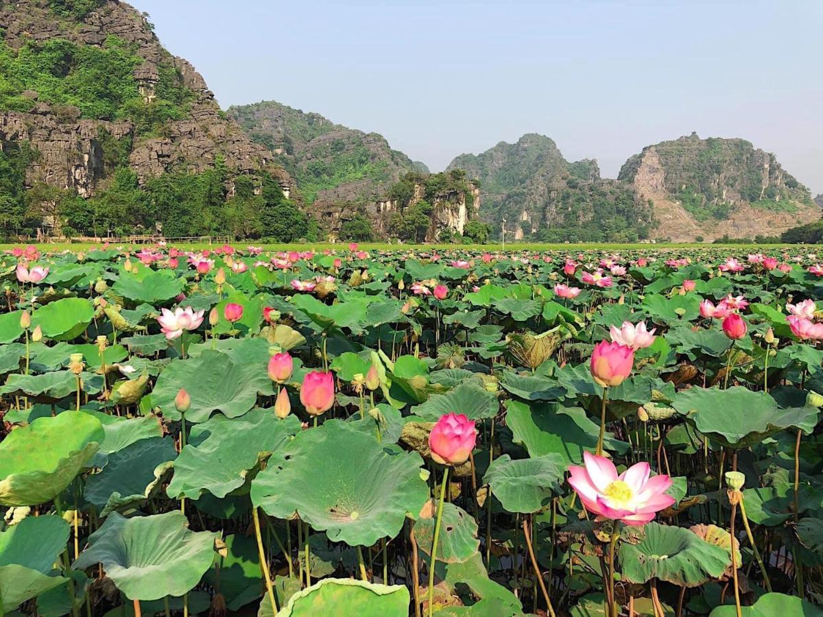 Tam Coc Heart Homestay 宁平 外观 照片